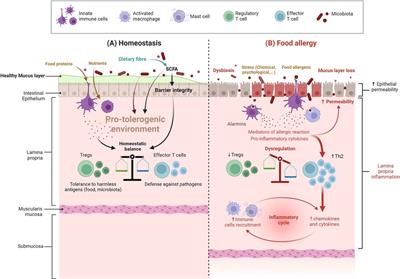 Perinatal exposure to foodborne inorganic nanoparticles: A role in the susceptibility to food allergy?